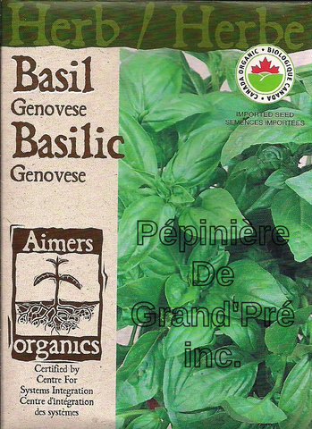 Semences organiques - Aimers - Basilic Genovese