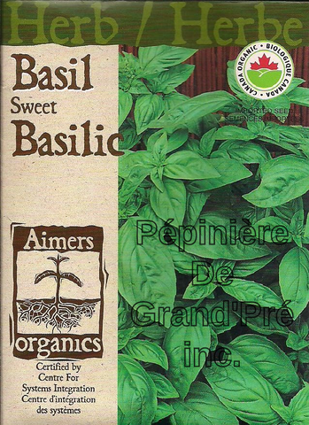 Semences organiques - Aimers - Basilic Sweet