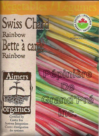 Semences organiques - Aimers - Bette à carde Rainbow