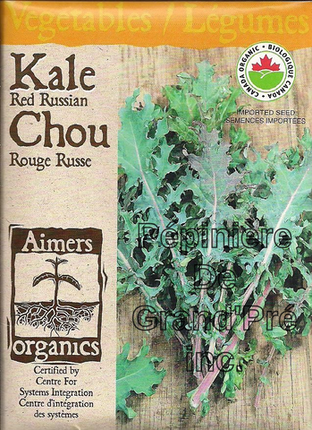 Semences organiques - Aimers - Chou Kale Rouge Russe
