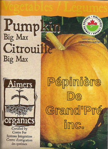 Semences organiques - Aimers - Citrouille Big Max