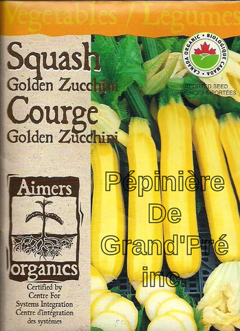 Semences organiques - Aimers - Courge Golden Zucchini