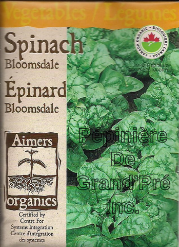 Semences organiques - Aimers - Épinard Bloomsdale