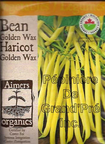 Semences organiques - Aimers - Haricot Golden Wax