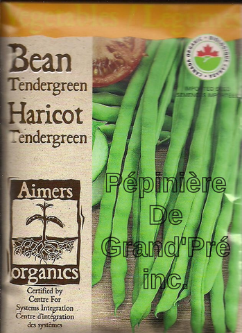 Semences organiques - Aimers - Haricot Tendergreen
