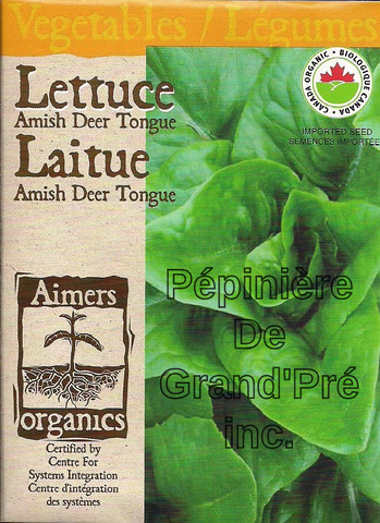 Semences organiques - Aimers - Laitue Amish Deer Tongue