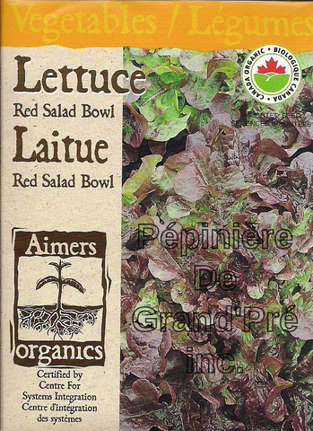 Semences organiques - Aimers - Laitue Red Salad Bowl