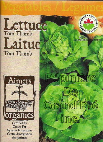 Semences organiques - Aimers - Laitue Tom Thumb