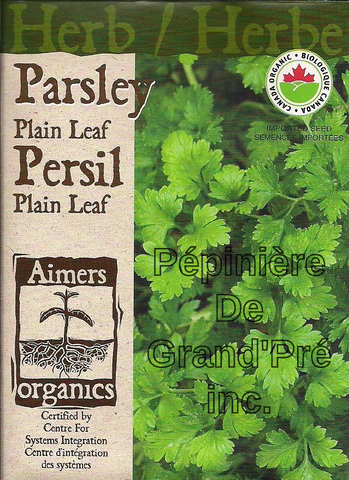Semences organiques - Aimers - Persil Plain Leaf
