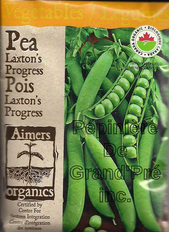 Semences organiques - Aimers - Pois Laxton's Progress
