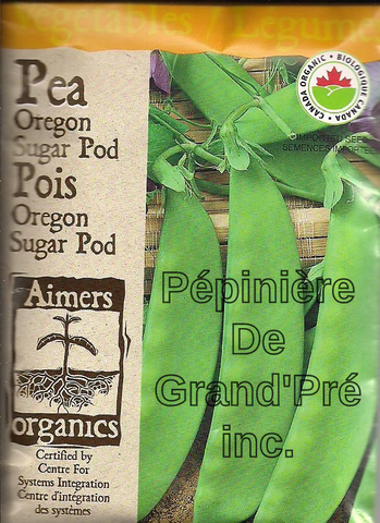 Semences organiques - Aimers - Pois Oregon Sugar Pod