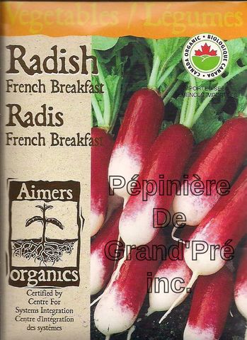 Semences organiques - Aimers - Radis French Breakfast