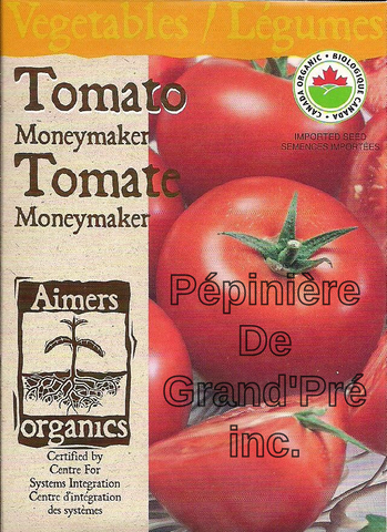 Semences organiques - Aimers - Tomate Moneymaker