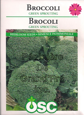 Semences OSC - Brocoli Green Sprouting