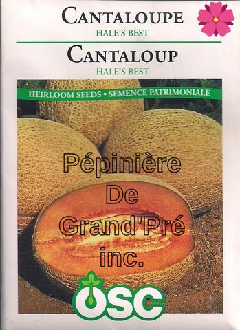 Semences OSC - Cantaloupe Hale's Best