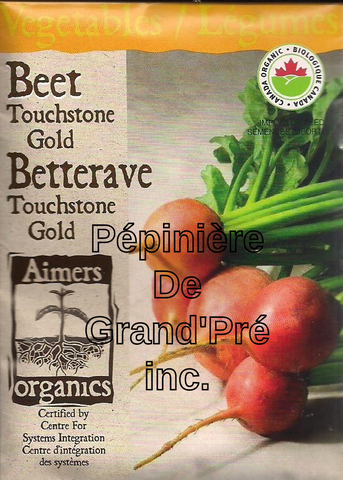 Semences organiques - Aimers - Betterave Touchstone Gold