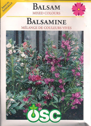 Semences OSC - Balsamine Mélange de couleurs vives