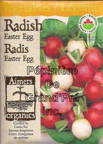 Semences organiques - Aimers - Radis Easter Egg