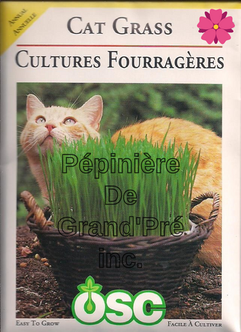 Semences OSC - Cultures Fourragères (Cat Grass)