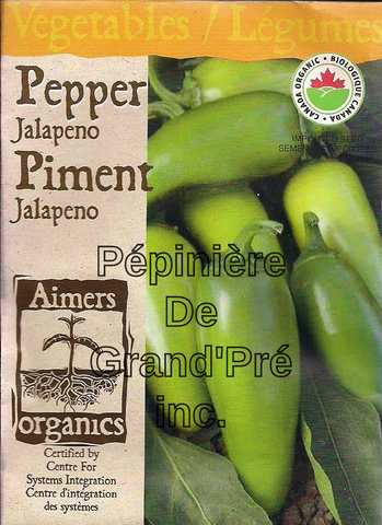 Semences organiques - Aimers - Piment Jalapeno