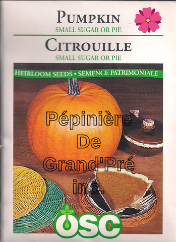 Semences OSC - Citrouille Small Sugar or Pie