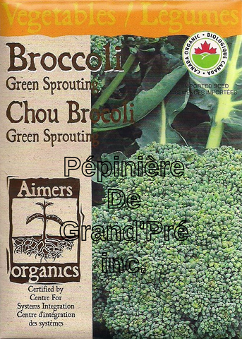 Semences organiques - Aimers - Brocoli Green Sprouting
