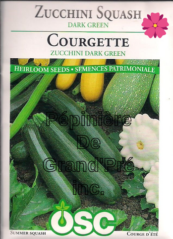 Semences OSC - Courgette Zucchini Dark Green