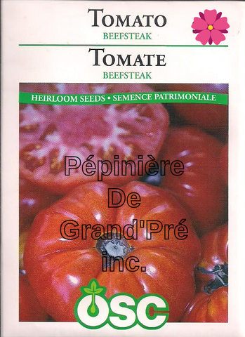 Semences OSC - Tomate Beefsteak