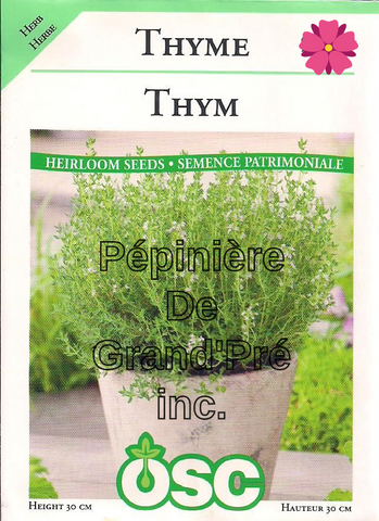 Semences OSC - Thym
