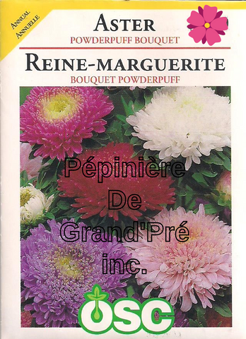 Semences OSC - Reine-Marguerite (Aster) Bouquet Powderpuff