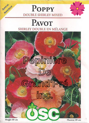 Semences OSC - Pavot Shirley double en mélange