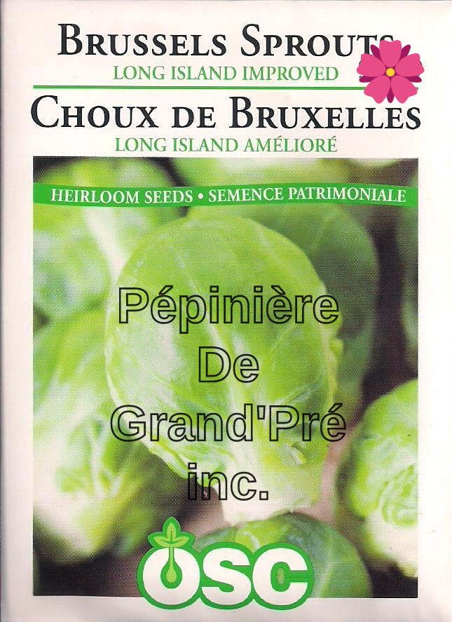 Semences OSC - Choux de Bruxelles Long Island Amélioré
