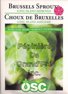 Semences OSC - Choux de Bruxelles Long Island Amélioré