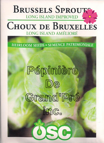 Semences OSC - Choux de Bruxelles Long Island Amélioré