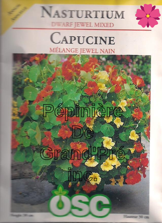 Semences OSC - Capucine Mélange Jewel nain