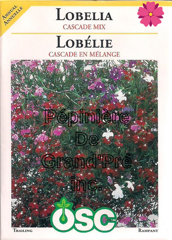 Semences OSC - Lobélie Cascade en mélange