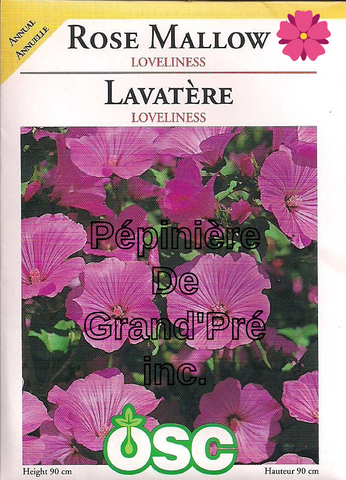 Semences OSC - Lavatère Loveliness