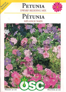 Semences OSC - Pétunia Mélange nain