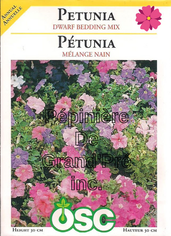 Semences OSC - Pétunia Mélange nain