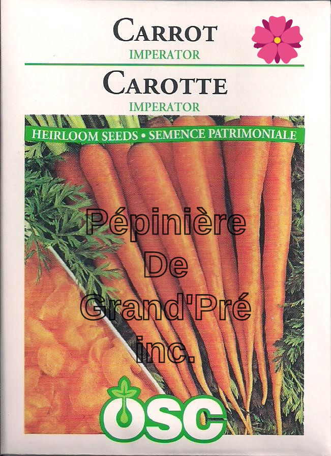 Semences OSC - Carotte Imperator