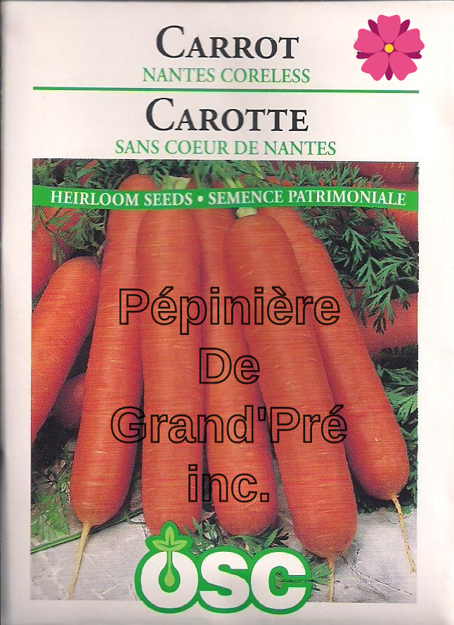 Semences OSC - Carotte sans cœur de Nantes