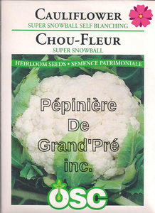 Semences OSC - Chou-fleur Super Snowball