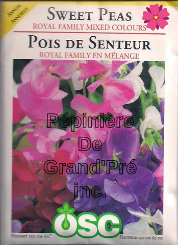 Semences OSC - Pois de Senteur Royal Family en Mélange