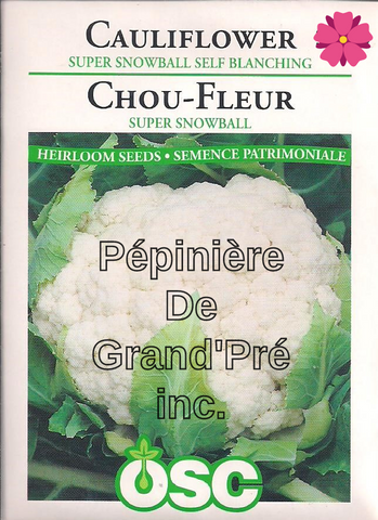 Semences OSC - Chou-fleur Super Snowball