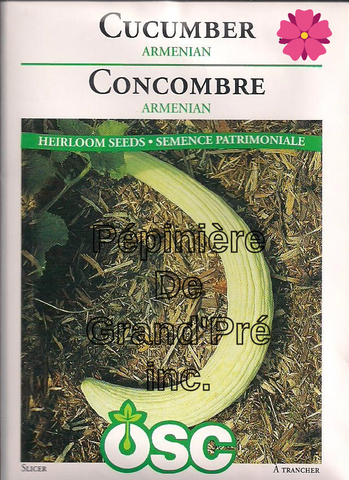 Semences OSC - Concombre Armenian