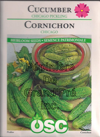 Semences OSC - Cornichon Chicago