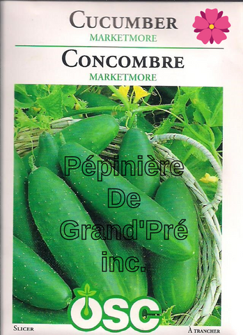 Semences OSC - Concombre Marketmore
