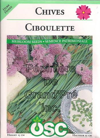 Semences OSC - Ciboulette