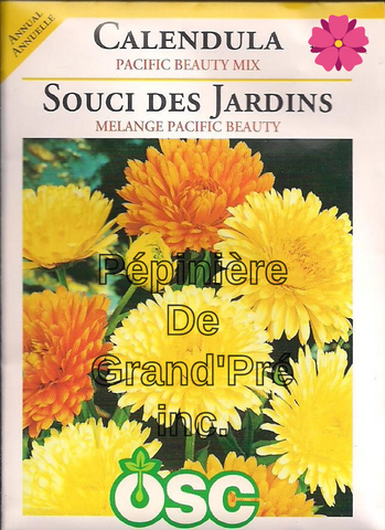 Semences OSC - Souci des Jardins Mélange Pacific Beauty