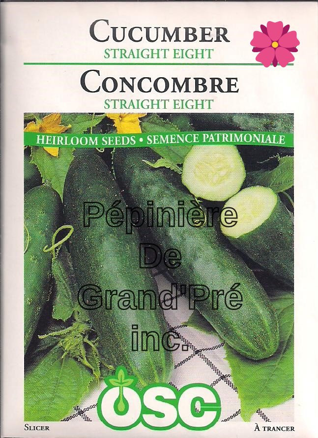 Semences OSC - Concombre Straight Eight